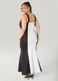 Two Tone Mermaid Maxi Dress