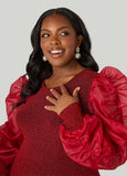 Organza Sleeve Metallic Dress