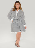Striped A Line Shirtdress