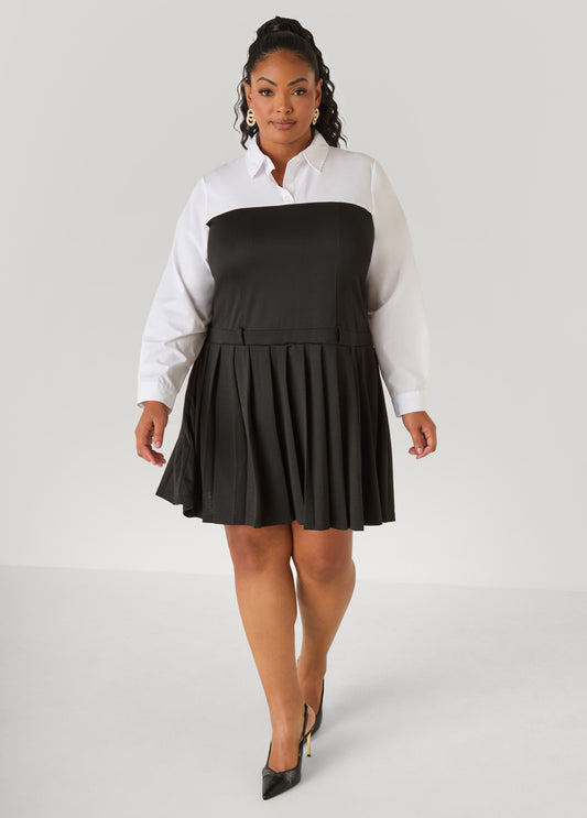 Pleated Poplin Paneled Dress