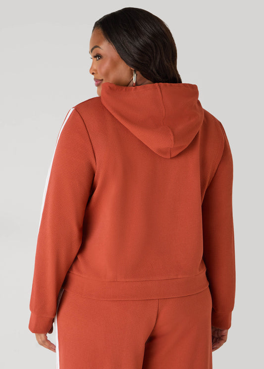 Textured Knit Striped Hoodie