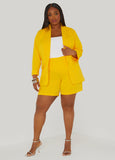 Crepe High Rise Shorts