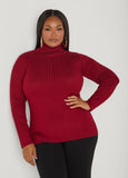 Pullover Turtleneck Sweater
