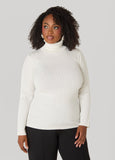 Ribbed Pullover Turtleneck Sweater