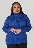 Ribbed Pullover Turtleneck Sweater