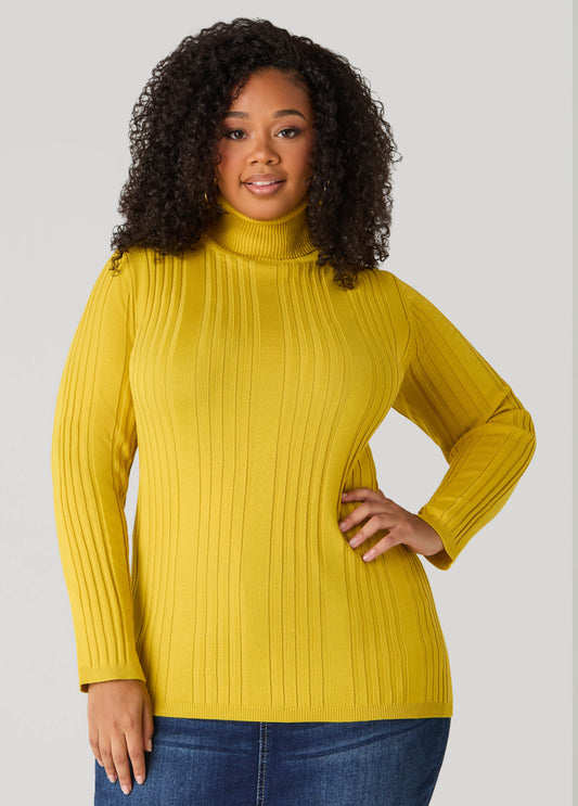 Pullover Turtleneck Sweater