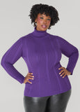 Plus Size Ribbed Turtleneck Pullover Sweater