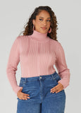 Plus Size Ribbed Knit Turtleneck Sweater
