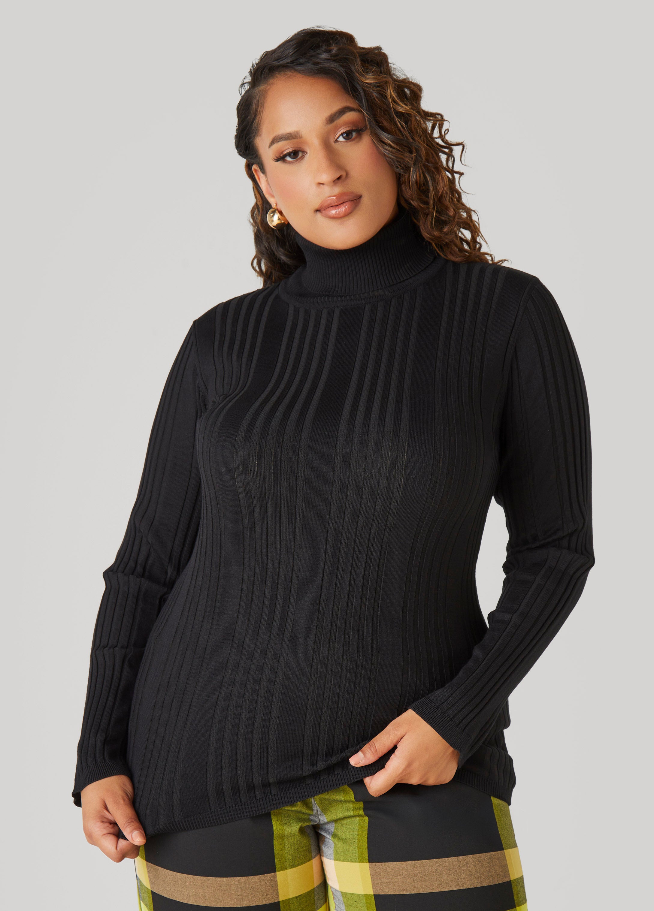 Classic Plus Size Fitted Ribbed Knit Turtleneck Sweater