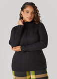 Plus Size Ribbed Turtleneck Sweater