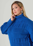 Puff Effect Turtleneck Sweater
