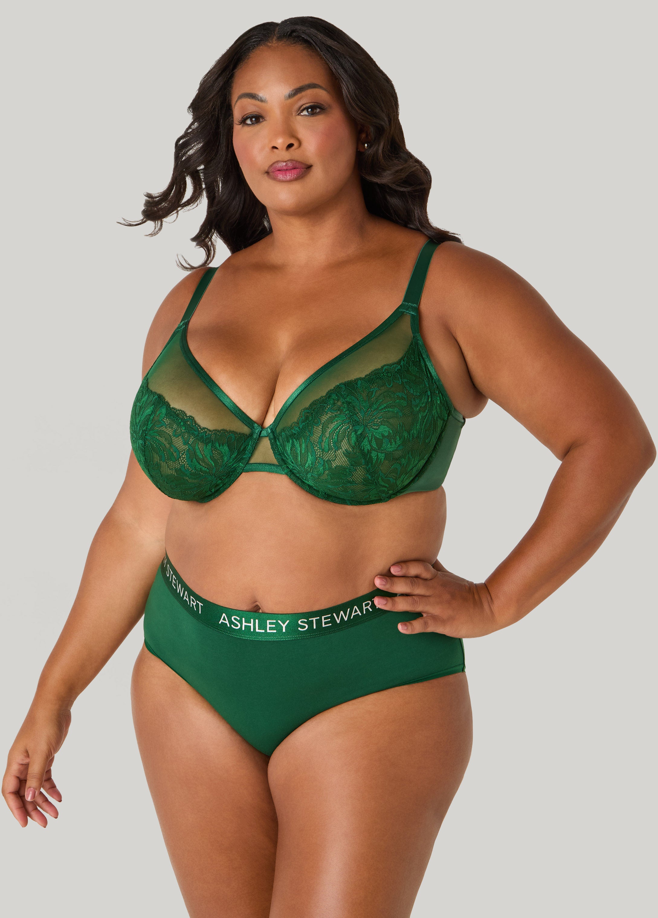 Plus Size Mesh Paneled Lace Underwire Bra