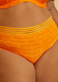 Microfiber Sheer Waist Brief Panty