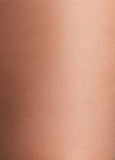 Berkshire Silky Control Pantyhose
