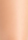 Berkshire Silky Control Pantyhose