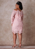 The Skye Lace Sheath Dress
