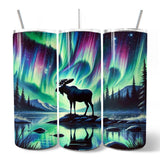 Northern Lights 20oz Tumbler