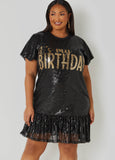 It's My Birthday Sequin Dress