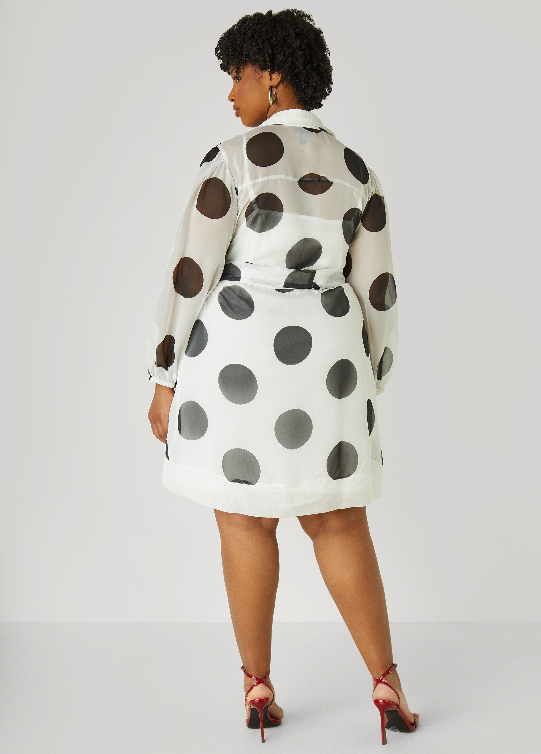 Polka Dot Organza Shirtdress