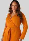 Ruffled Faux Wrap Dress