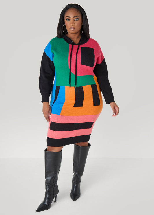 Plus Size Colorblock Hooded Sweater Dress