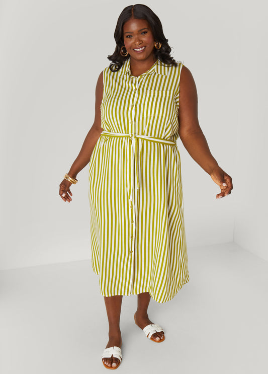 Plus Size Striped Button Front Shirtdress