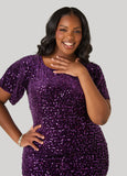 Sequin Velvet Flounced Dress