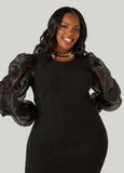 Organza Paneled Metallic Dress