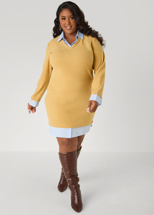 Stripe Paneled Sweater Dress