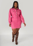 Button Front Denim Shirtdress