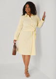 Pinstriped Waist Tie Shirtdress