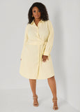 Pinstriped Waist Tie Shirtdress