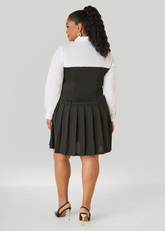Pleated Poplin Paneled Dress