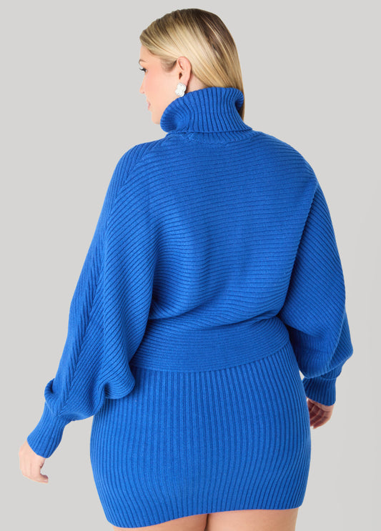 Dolman Sleeved Turtleneck Sweater