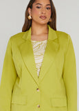 Ponte Blazer
