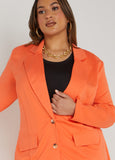 Ponte Blazer