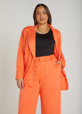 Ponte Blazer
