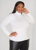 Plus Size Ribbed Knit Sweater