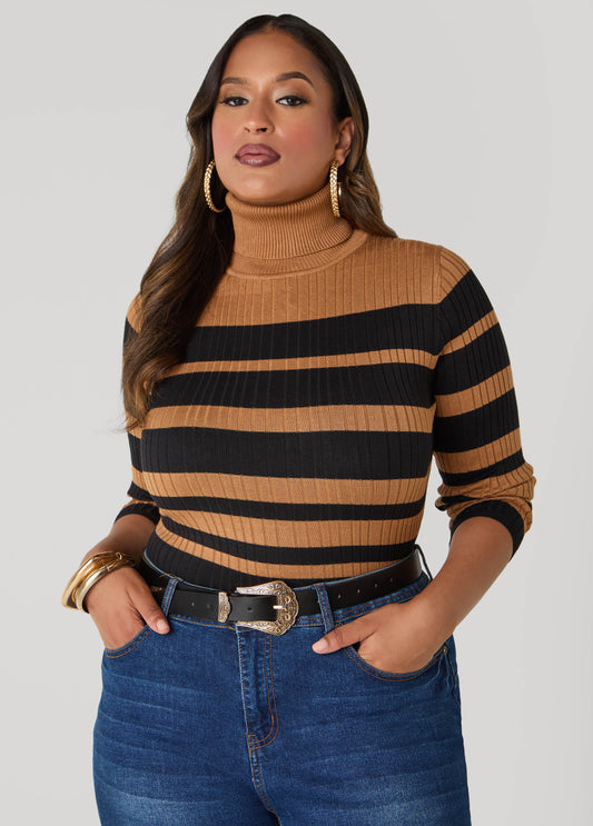 Plus Size Striped Turtleneck Sweater
