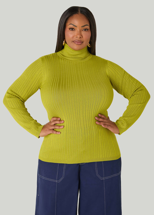 Pullover Turtleneck Sweater