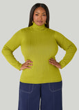 Pullover Turtleneck Sweater