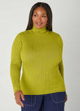 Pullover Turtleneck Sweater