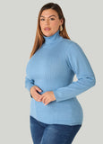 Pullover Turtleneck Sweater