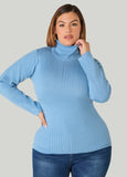 Pullover Turtleneck Sweater