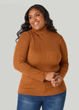 Turtleneck Pullover Sweater