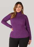 Turtleneck Pullover Sweater
