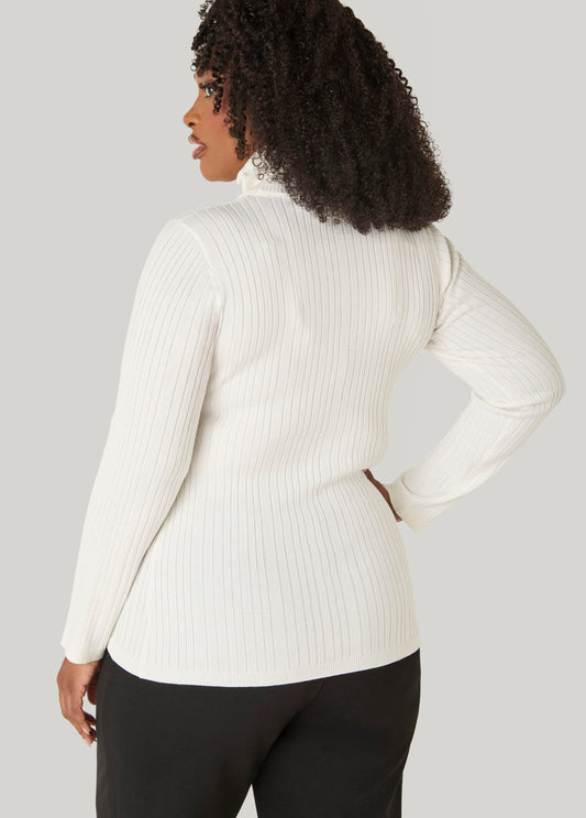 Ribbed Pullover Turtleneck Sweater