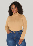 Ribbed Pullover Turtleneck Sweater