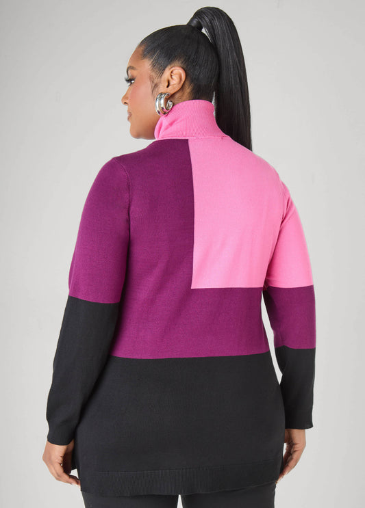 Colorblock Turtleneck Sweater