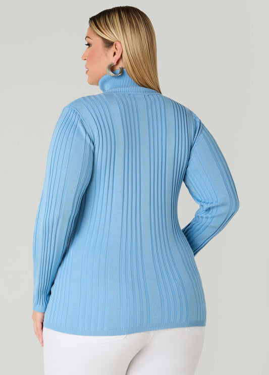 Pullover Turtleneck Sweater